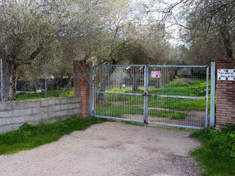 Immagine 17 di Terreno agricolo in vendita  in strada vicinale santu tettaru a Sassari