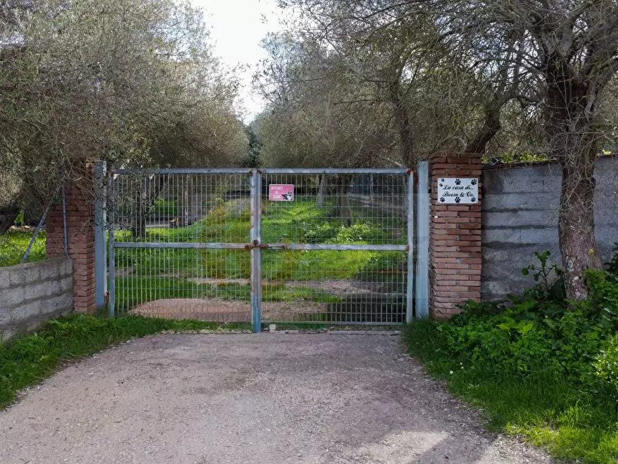 Immagine 18 di Terreno agricolo in vendita  in strada vicinale santu tettaru a Sassari