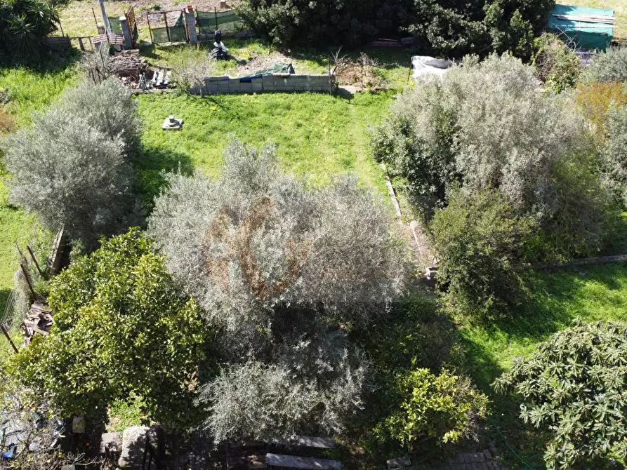 Immagine 9 di Terreno residenziale in vendita  in via Pittalis Pinna 1/c a Sassari