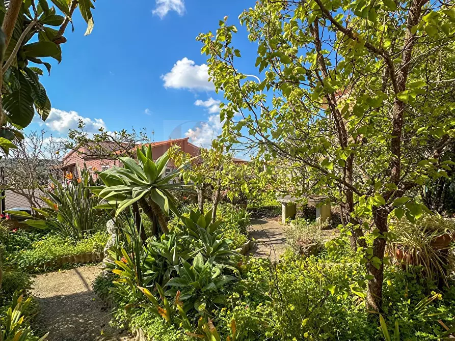 Immagine 37 di Appartamento in vendita  in via Mario Carboni 20 a Sassari