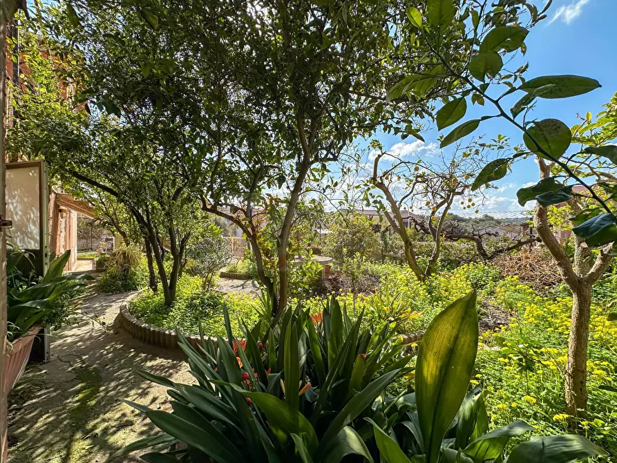 Immagine 42 di Appartamento in vendita  in via Mario Carboni 20 a Sassari