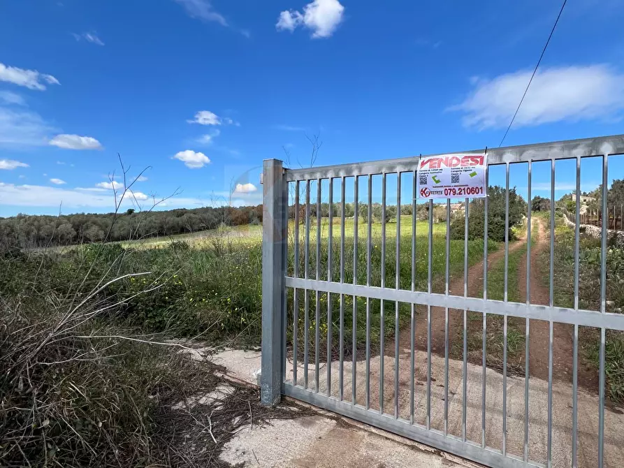 Immagine 15 di Terreno agricolo in vendita  in Caniga, prato comunale a Sassari
