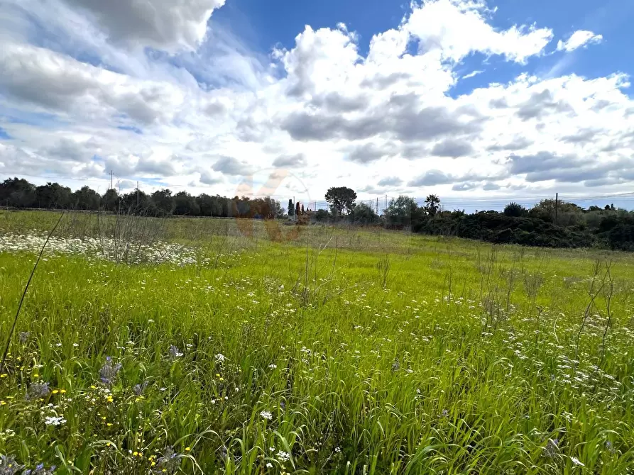 Immagine 6 di Terreno agricolo in vendita  in Caniga, prato comunale a Sassari