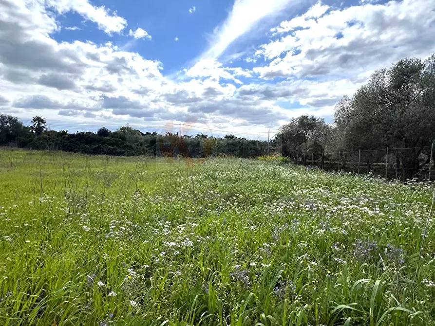 Immagine 7 di Terreno agricolo in vendita  in Caniga, prato comunale a Sassari