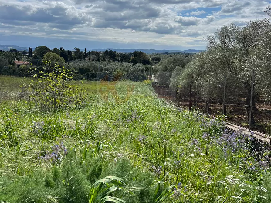 Immagine 10 di Terreno agricolo in vendita  in Caniga, prato comunale a Sassari