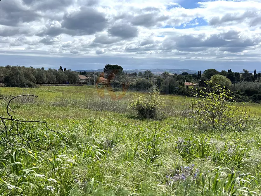 Immagine 11 di Terreno agricolo in vendita  in Caniga, prato comunale a Sassari