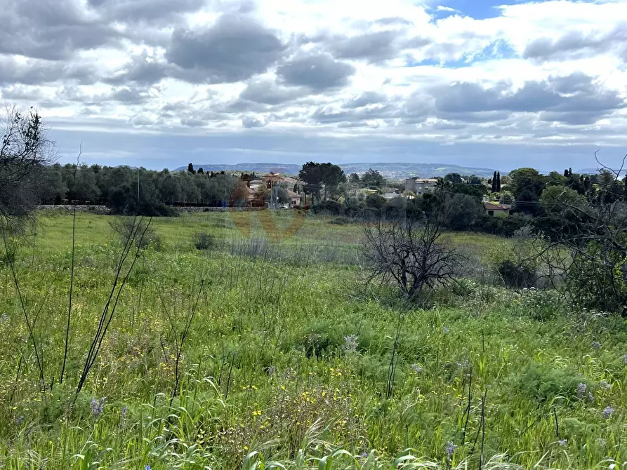 Immagine 12 di Terreno agricolo in vendita  in Caniga, prato comunale a Sassari