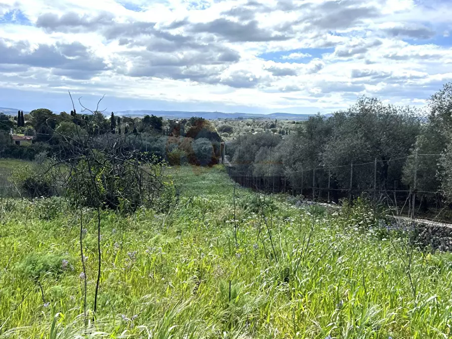 Immagine 13 di Terreno agricolo in vendita  in Caniga, prato comunale a Sassari