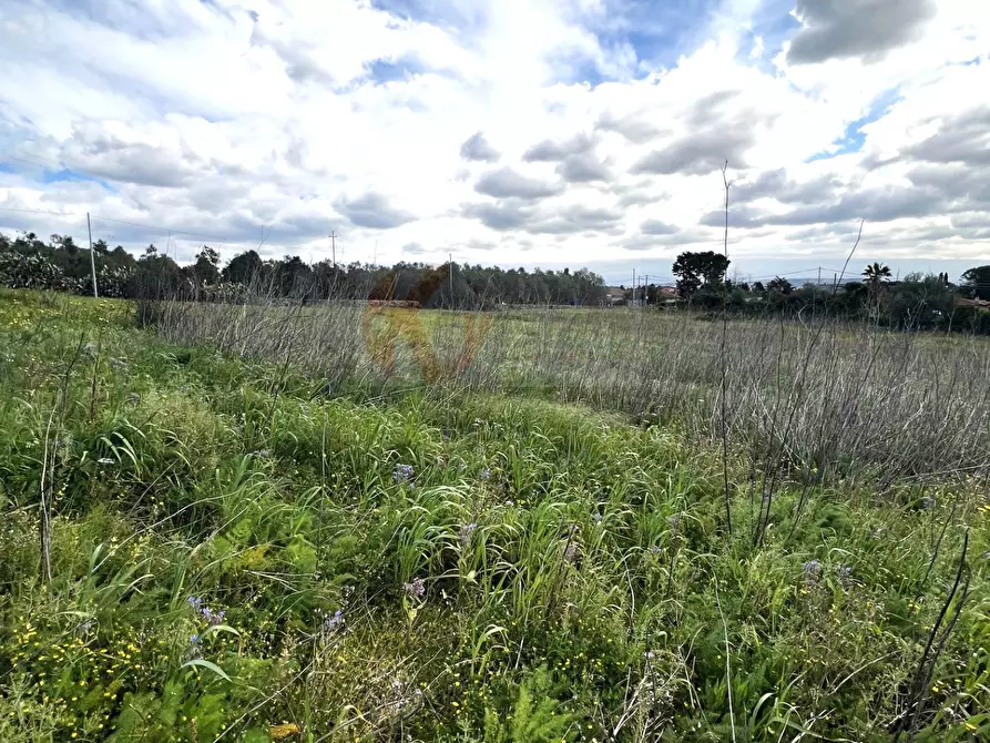 Immagine 14 di Terreno agricolo in vendita  in Caniga, prato comunale a Sassari