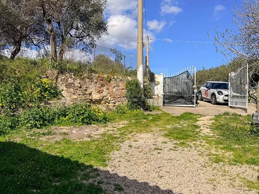 Immagine 15 di Casa indipendente in vendita  in Località San Giovanni snc a Sennori