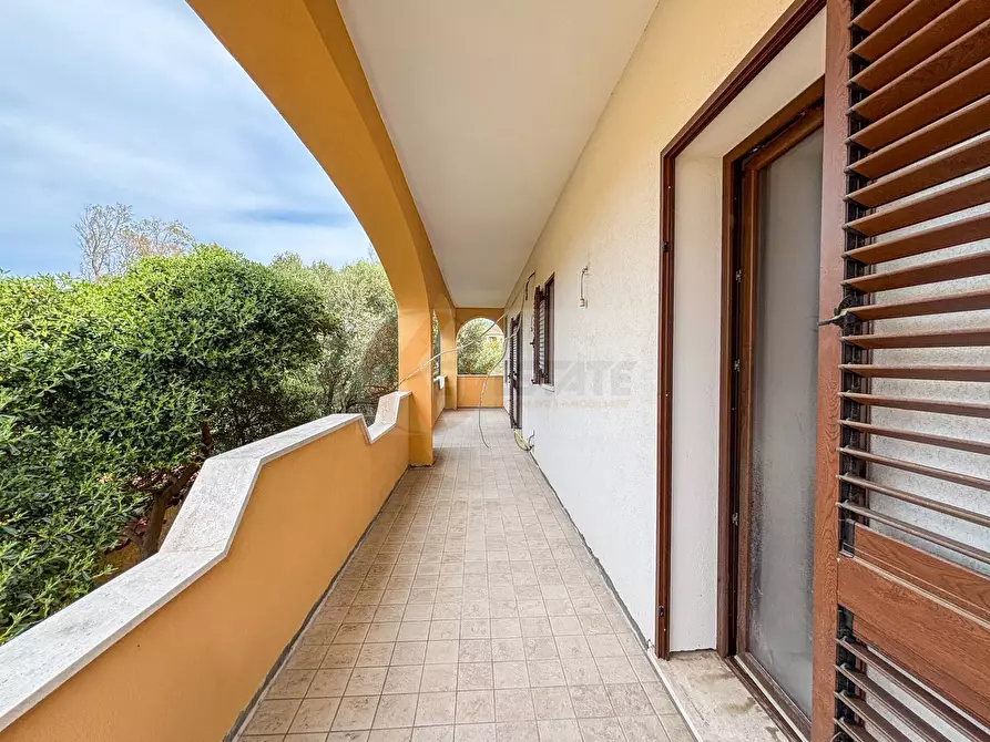 Immagine 16 di Appartamento in vendita  in Via Nuoro 9 a Aggius