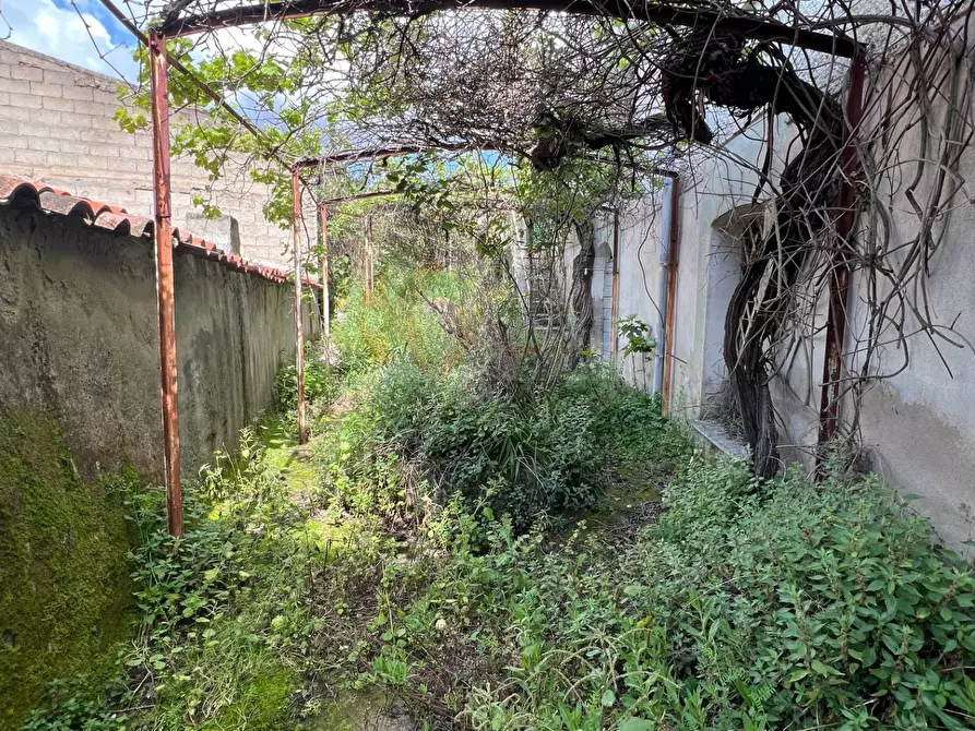 Immagine 14 di Rustico / casale in vendita  in Via Victor Hugo sn a Bolotana