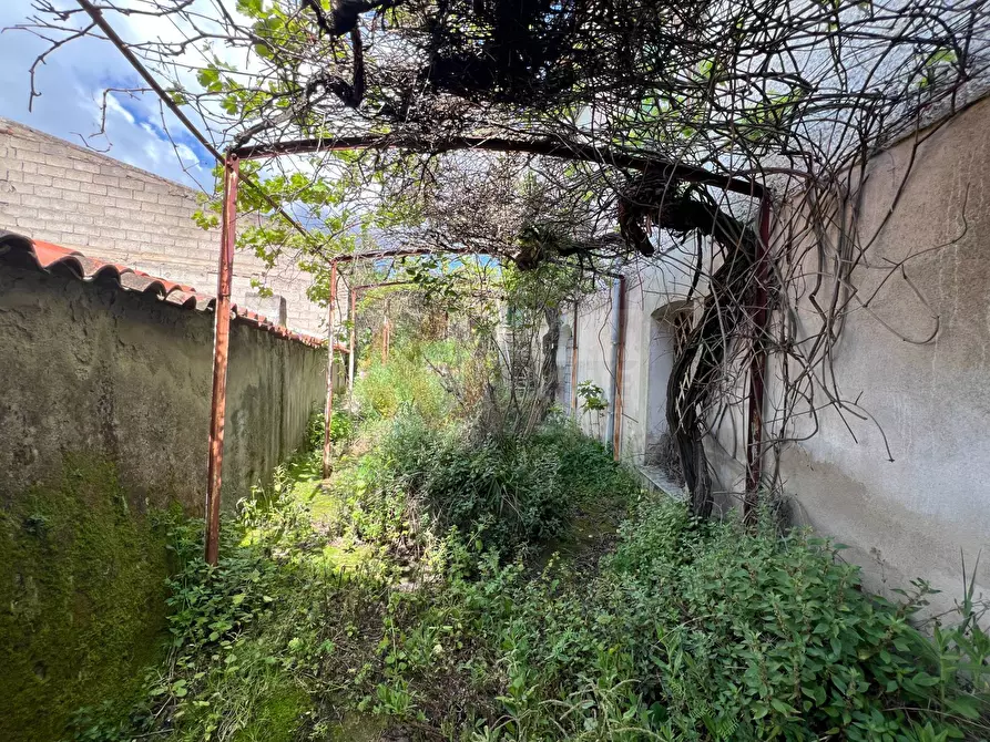 Immagine 13 di Rustico / casale in vendita  in Via Victor Hugo sn a Bolotana