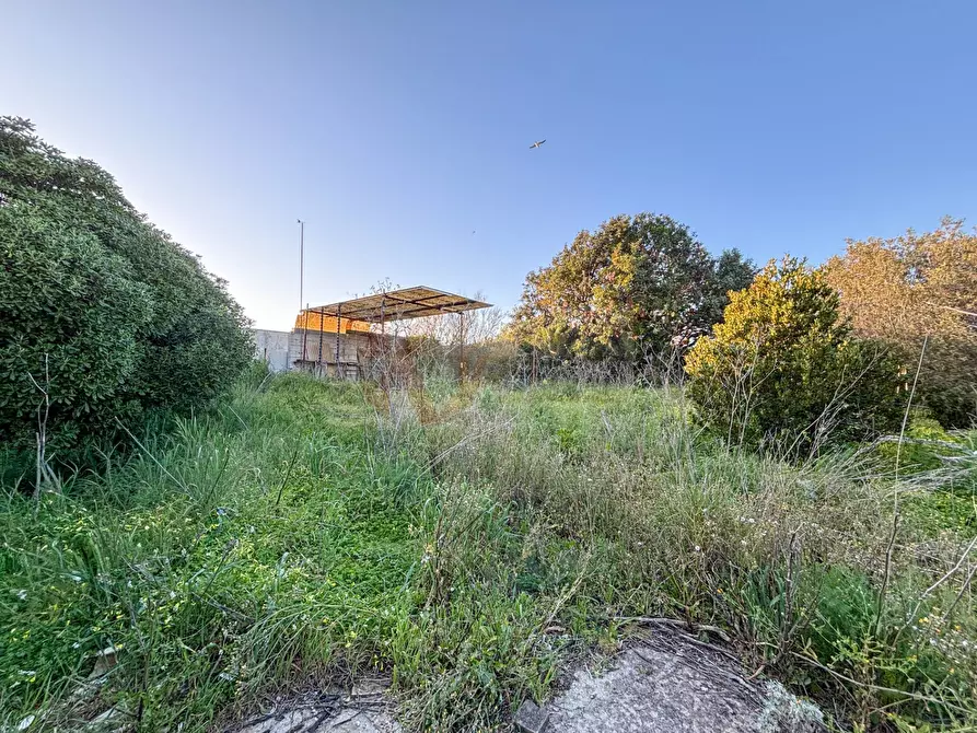 Immagine 27 di Villa in vendita  in vicolo colonia romana 5 a Porto Torres