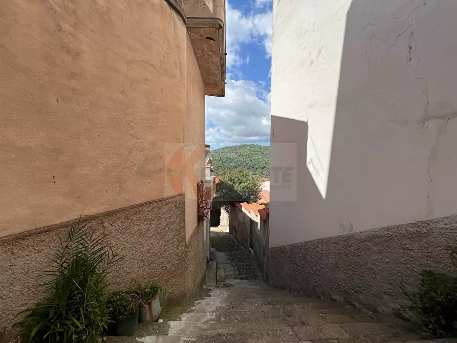 Immagine 19 di Rustico / casale in vendita  in Via Victor Hugo sn a Bolotana