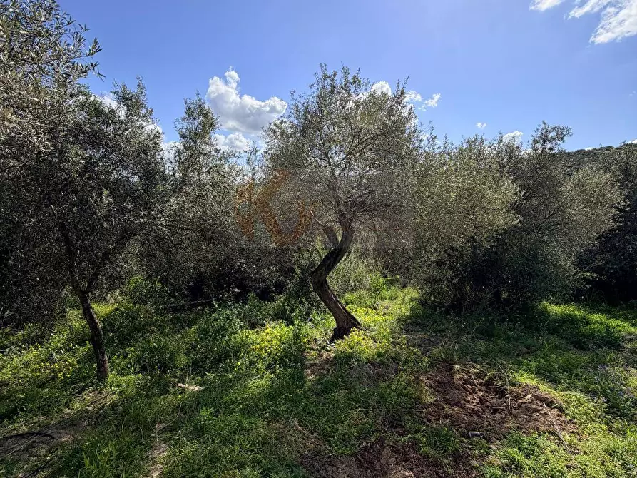Immagine 20 di Casa indipendente in vendita  in Località San Giovanni snc a Sennori