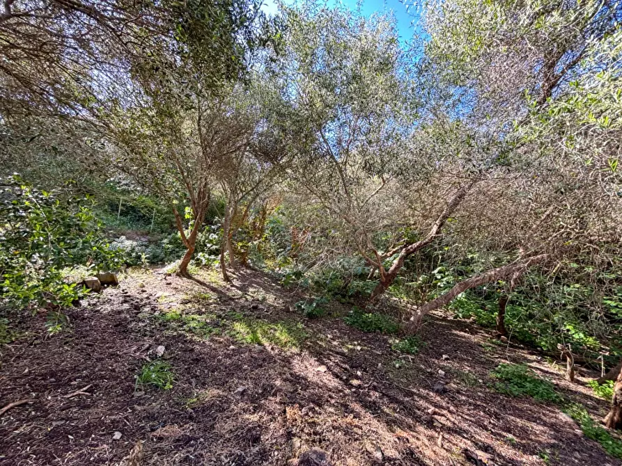 Immagine 47 di Casa semindipendente in vendita  in Bagaglino snc a Banari