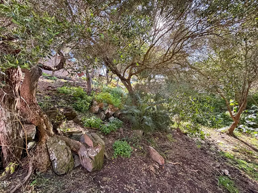 Immagine 46 di Casa semindipendente in vendita  in Bagaglino snc a Banari