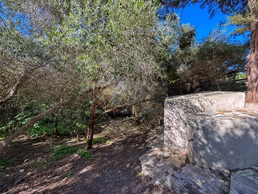 Immagine 45 di Casa semindipendente in vendita  in Bagaglino snc a Banari