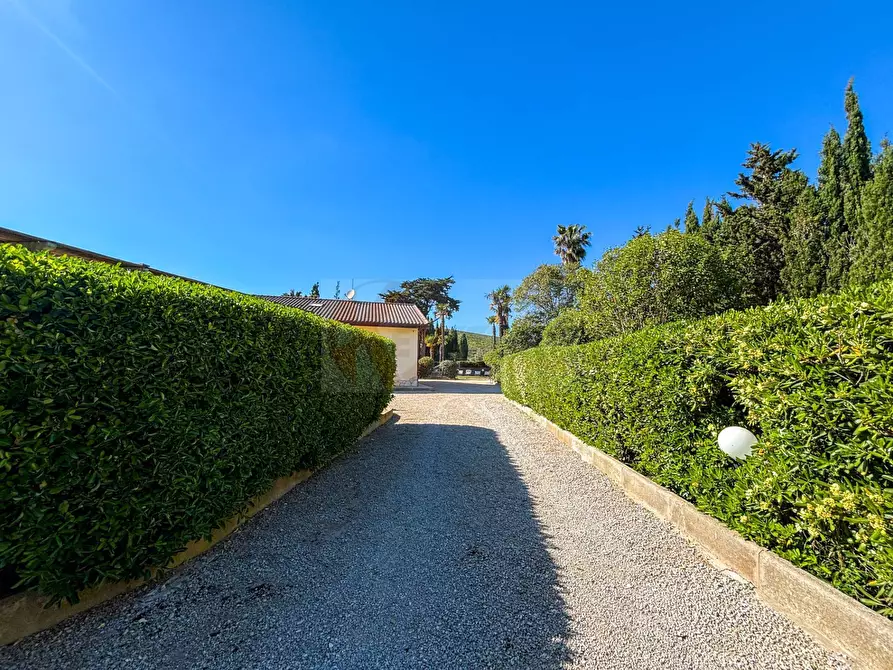 Immagine 98 di Villa in vendita  in via Ozieri 34 a Banari