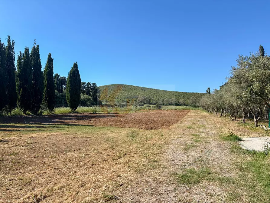 Immagine 118 di Villa in vendita  in via Ozieri 34 a Banari