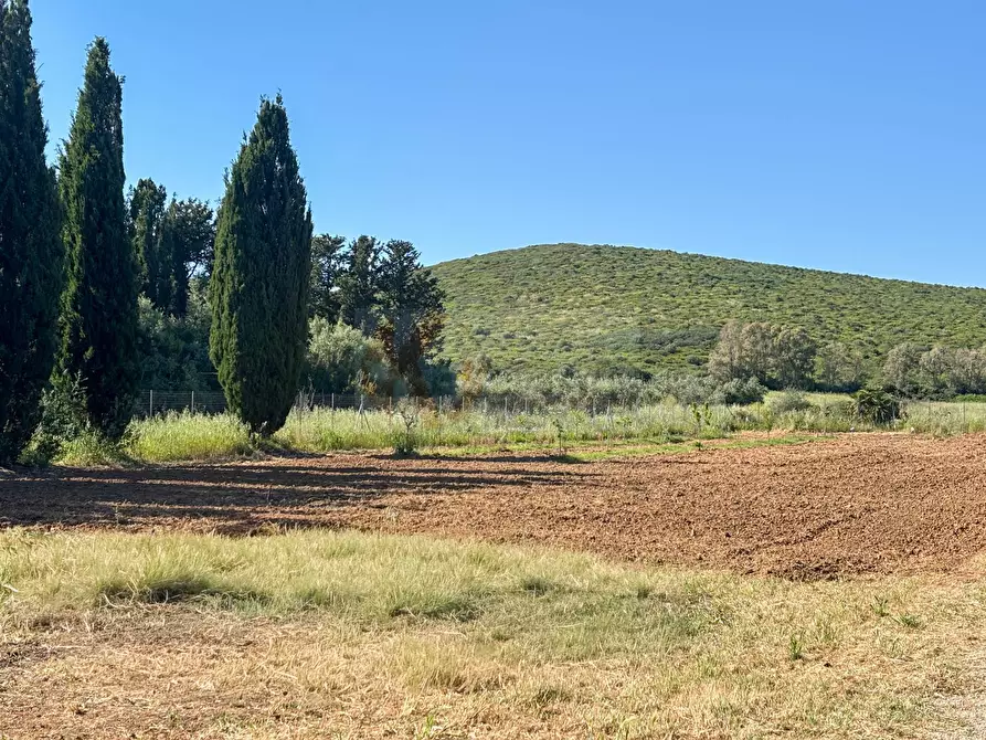 Immagine 119 di Villa in vendita  in via Ozieri 34 a Banari