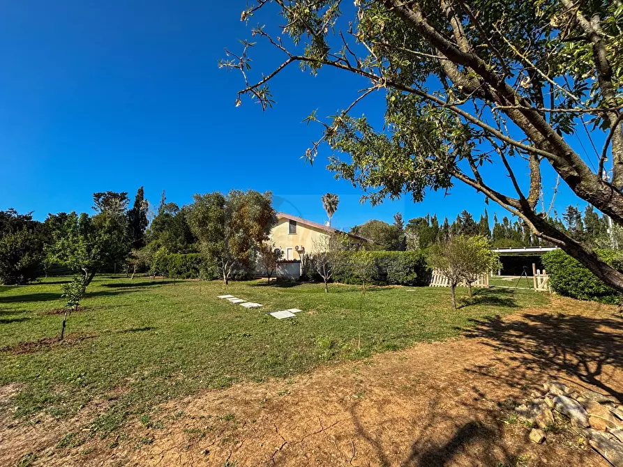 Immagine 128 di Villa in vendita  in via Ozieri 34 a Banari