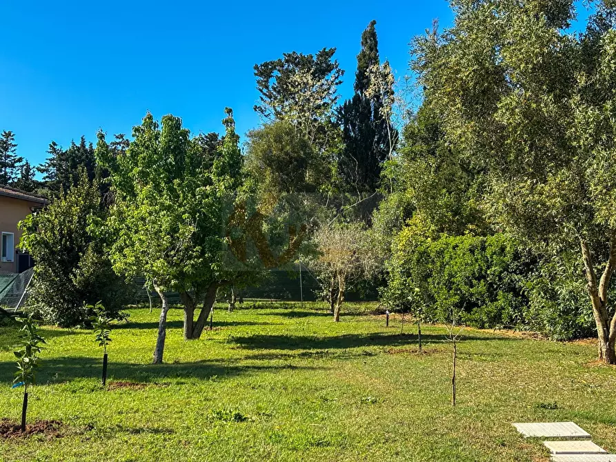 Immagine 131 di Villa in vendita  in via Ozieri 34 a Banari