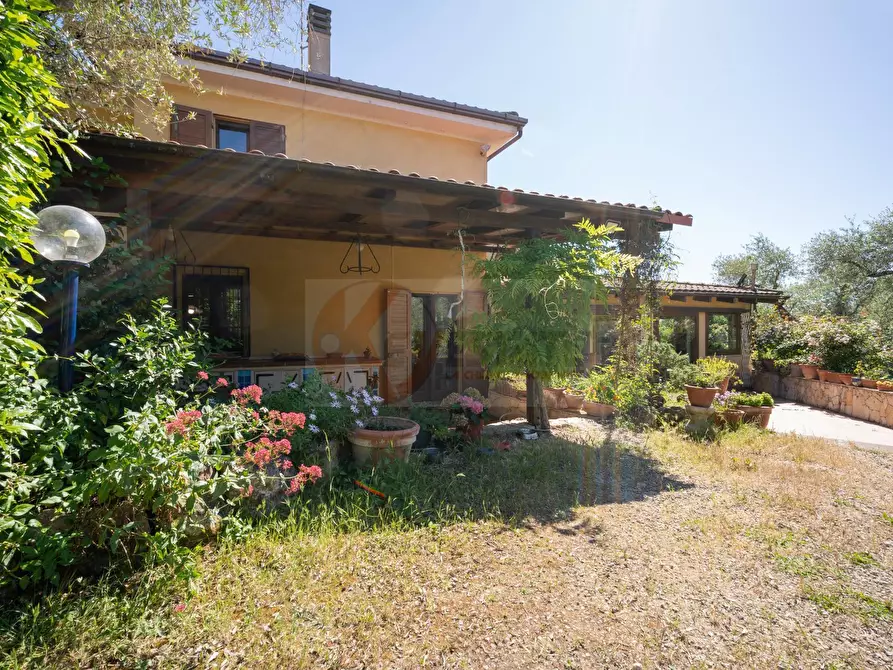 Immagine 73 di Villa in vendita  in ponte brandinu 99/m a Sassari