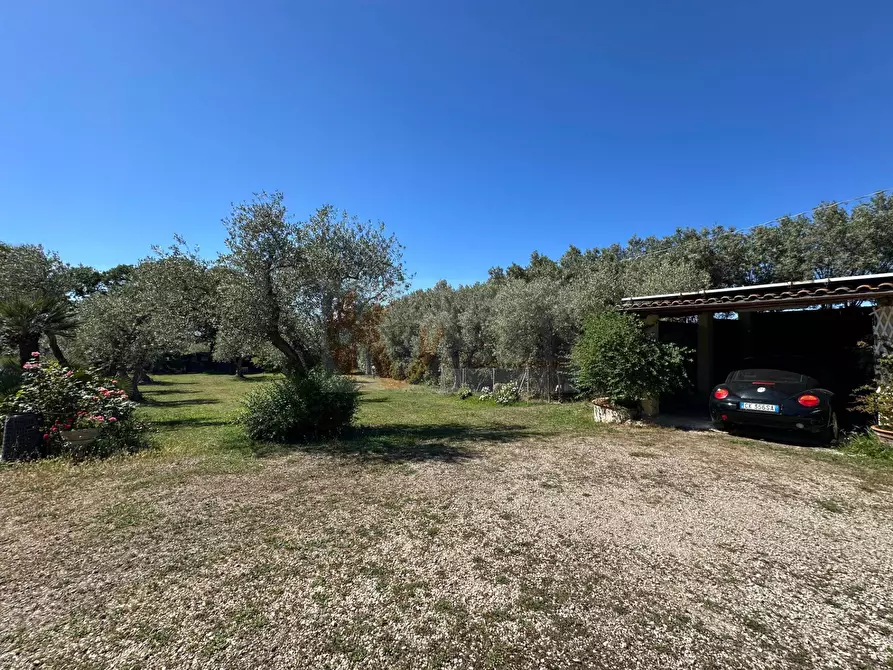 Immagine 93 di Villa in vendita  in ponte brandinu 99/m a Sassari