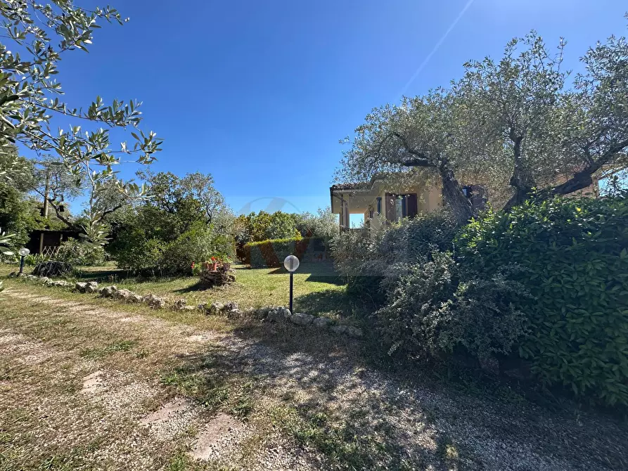 Immagine 79 di Villa in vendita  in ponte brandinu 99/m a Sassari