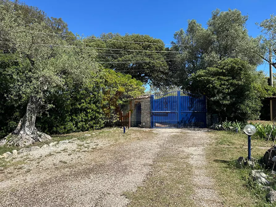 Immagine 91 di Villa in vendita  in ponte brandinu 99/m a Sassari