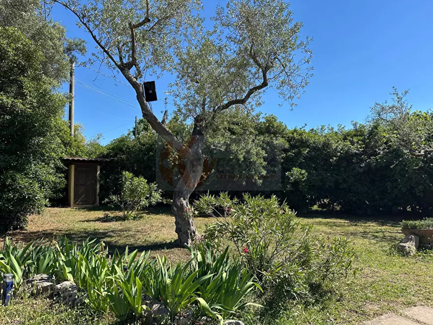 Immagine 96 di Villa in vendita  in ponte brandinu 99/m a Sassari