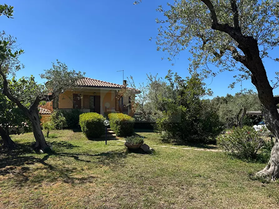 Immagine 84 di Villa in vendita  in ponte brandinu 99/m a Sassari
