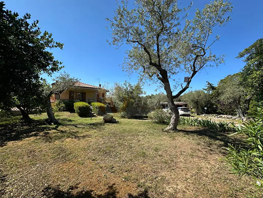 Immagine 97 di Villa in vendita  in ponte brandinu 99/m a Sassari
