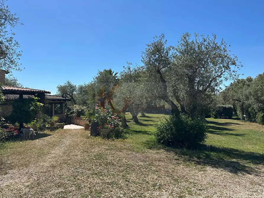 Immagine 98 di Villa in vendita  in ponte brandinu 99/m a Sassari