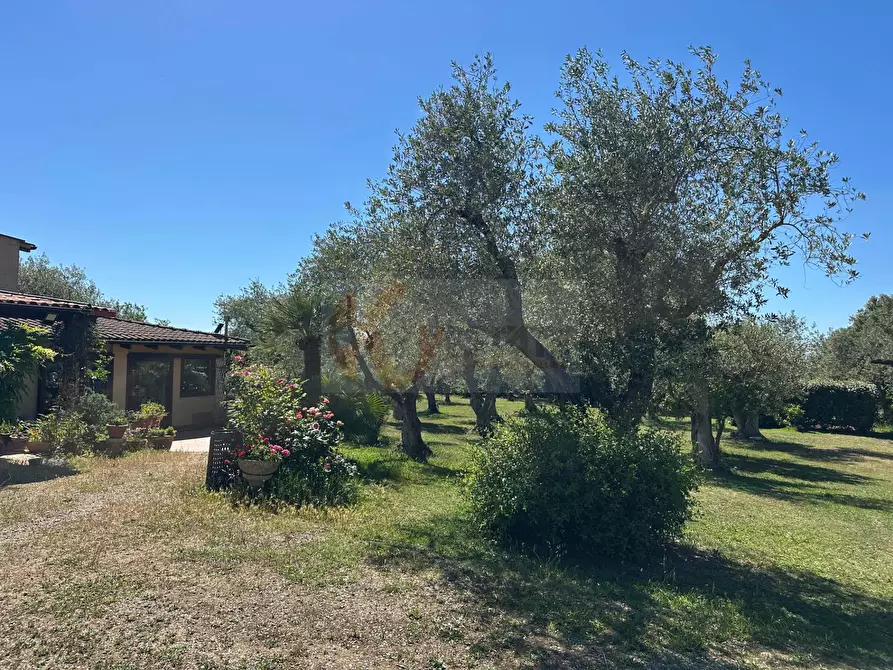 Immagine 99 di Villa in vendita  in ponte brandinu 99/m a Sassari