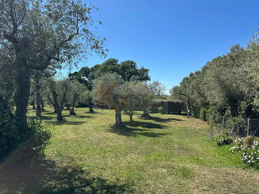 Immagine 100 di Villa in vendita  in ponte brandinu 99/m a Sassari