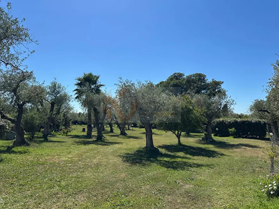 Immagine 101 di Villa in vendita  in ponte brandinu 99/m a Sassari