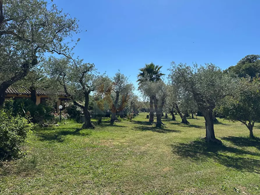 Immagine 102 di Villa in vendita  in ponte brandinu 99/m a Sassari