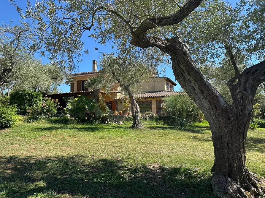 Immagine 86 di Villa in vendita  in ponte brandinu 99/m a Sassari