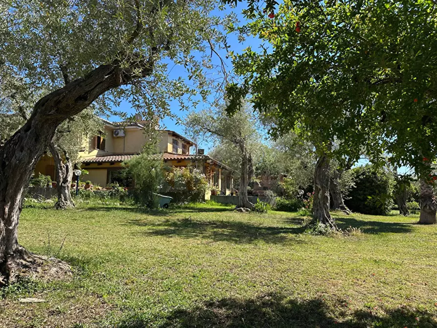 Immagine 87 di Villa in vendita  in ponte brandinu 99/m a Sassari