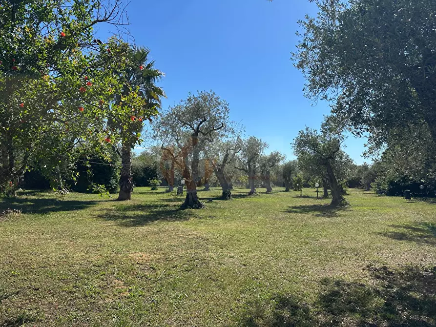 Immagine 103 di Villa in vendita  in ponte brandinu 99/m a Sassari