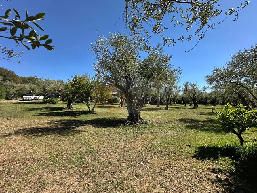 Immagine 104 di Villa in vendita  in ponte brandinu 99/m a Sassari