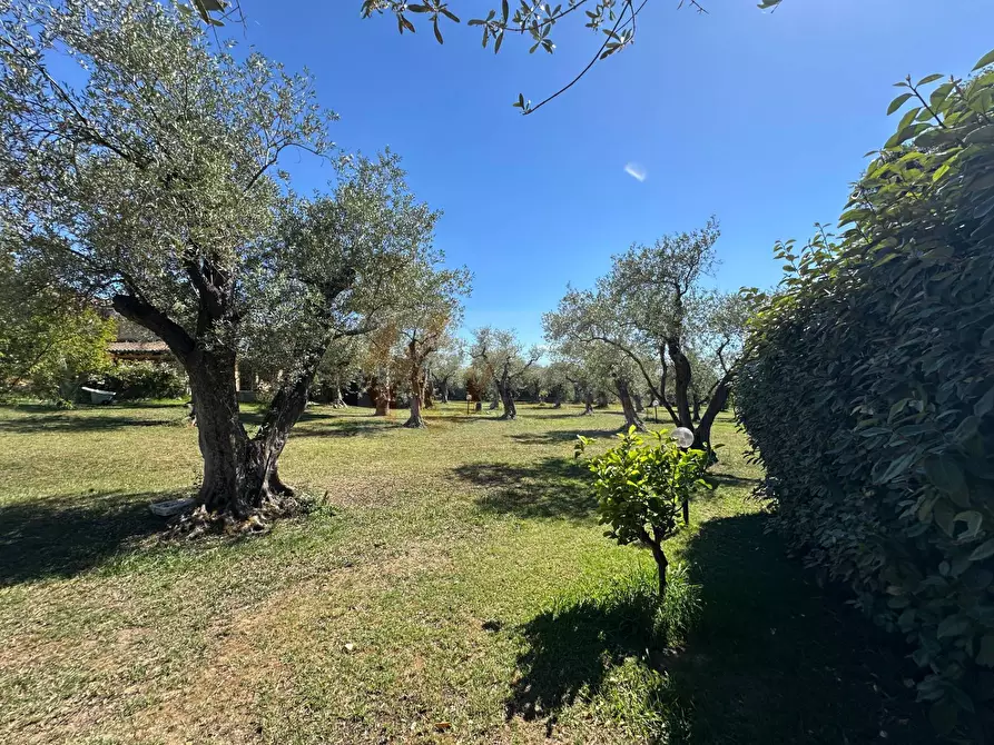 Immagine 105 di Villa in vendita  in ponte brandinu 99/m a Sassari