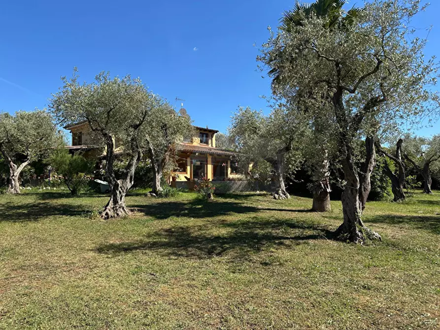 Immagine 88 di Villa in vendita  in ponte brandinu 99/m a Sassari