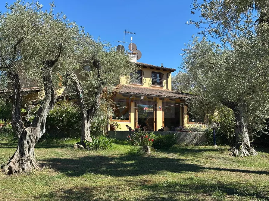 Immagine 89 di Villa in vendita  in ponte brandinu 99/m a Sassari