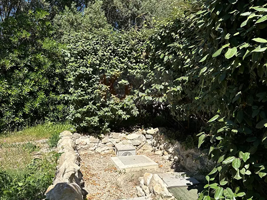 Immagine 106 di Villa in vendita  in ponte brandinu 99/m a Sassari