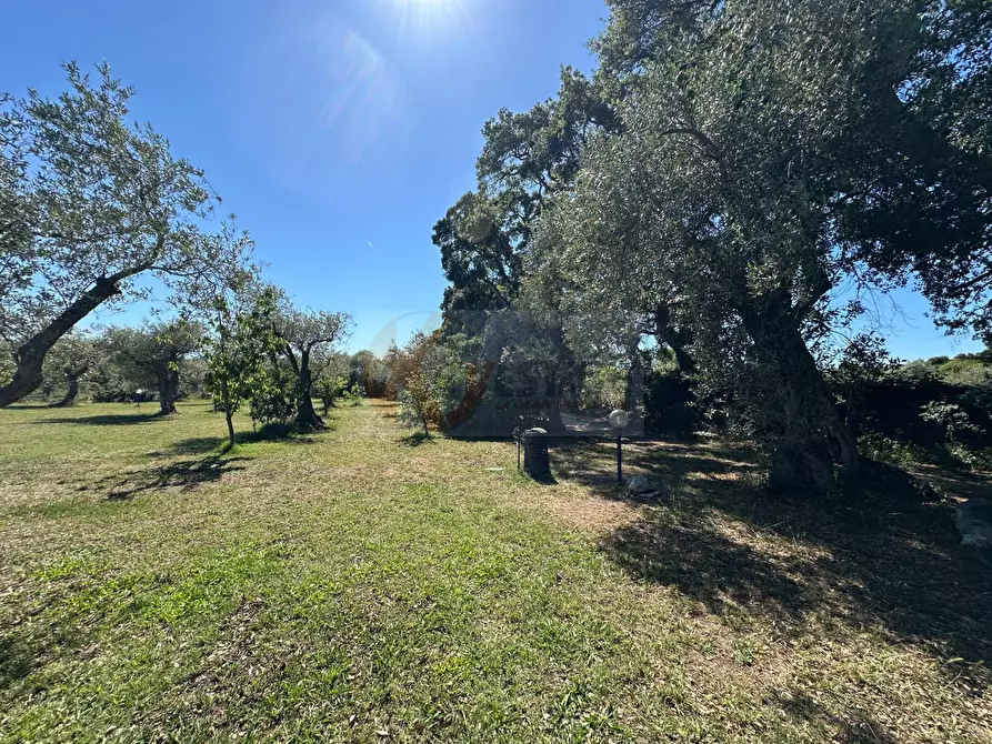 Immagine 109 di Villa in vendita  in ponte brandinu 99/m a Sassari