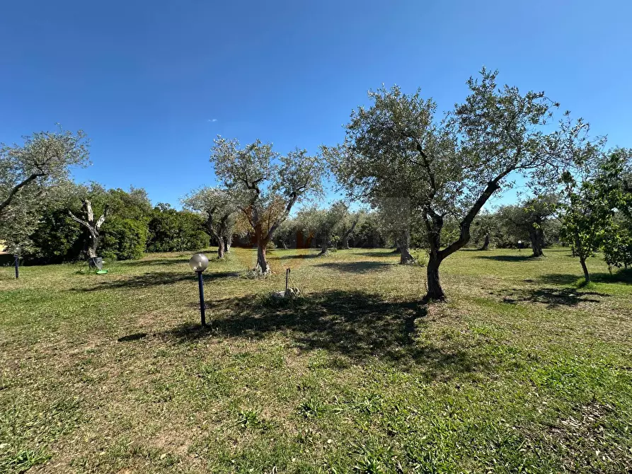 Immagine 110 di Villa in vendita  in ponte brandinu 99/m a Sassari